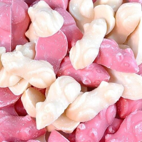 Pink & White Mice