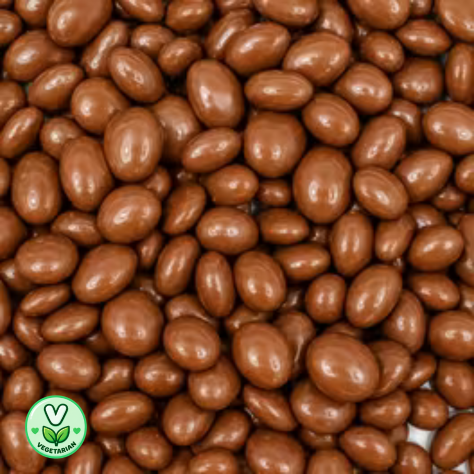Chocolate Covered Raisins